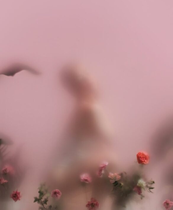 Blurred silhouette among translucent flowers on a soft pink background, creating an artistic dreamy effect.